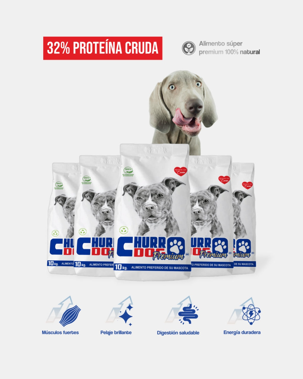 ChurroDog 200 kg – Paquete Pro / Mayorista